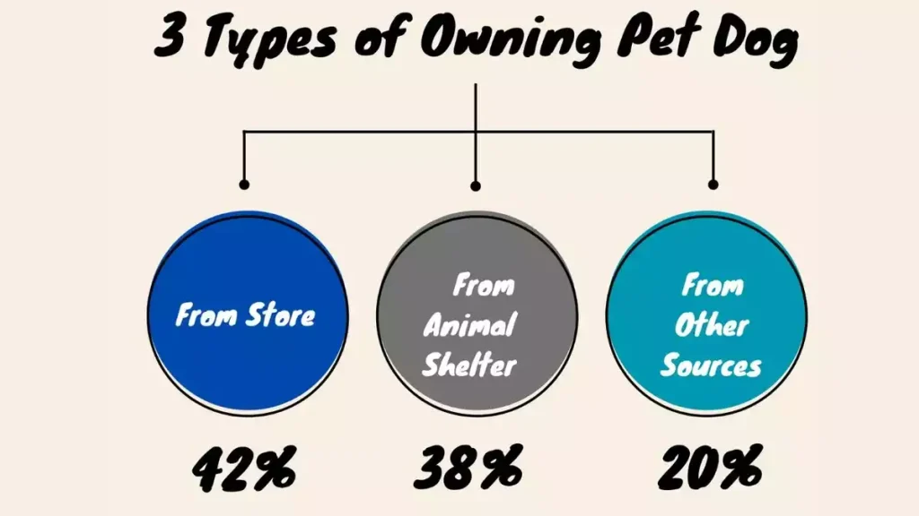 Americans favorite pet Dog, 3 Types of Owning Pet Dog, owning pet dog, americans owning pet dog, owning pet dog percentages, americans pet dog owning photo, happy hungry pets