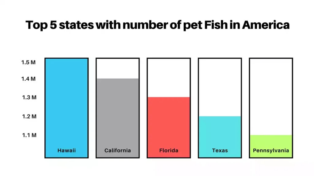 America’s favorite pet Fish, Top 5 states with number of pet Fish In america, pet fish in america, top 5 states pet fish in amerca, happy hungry pets