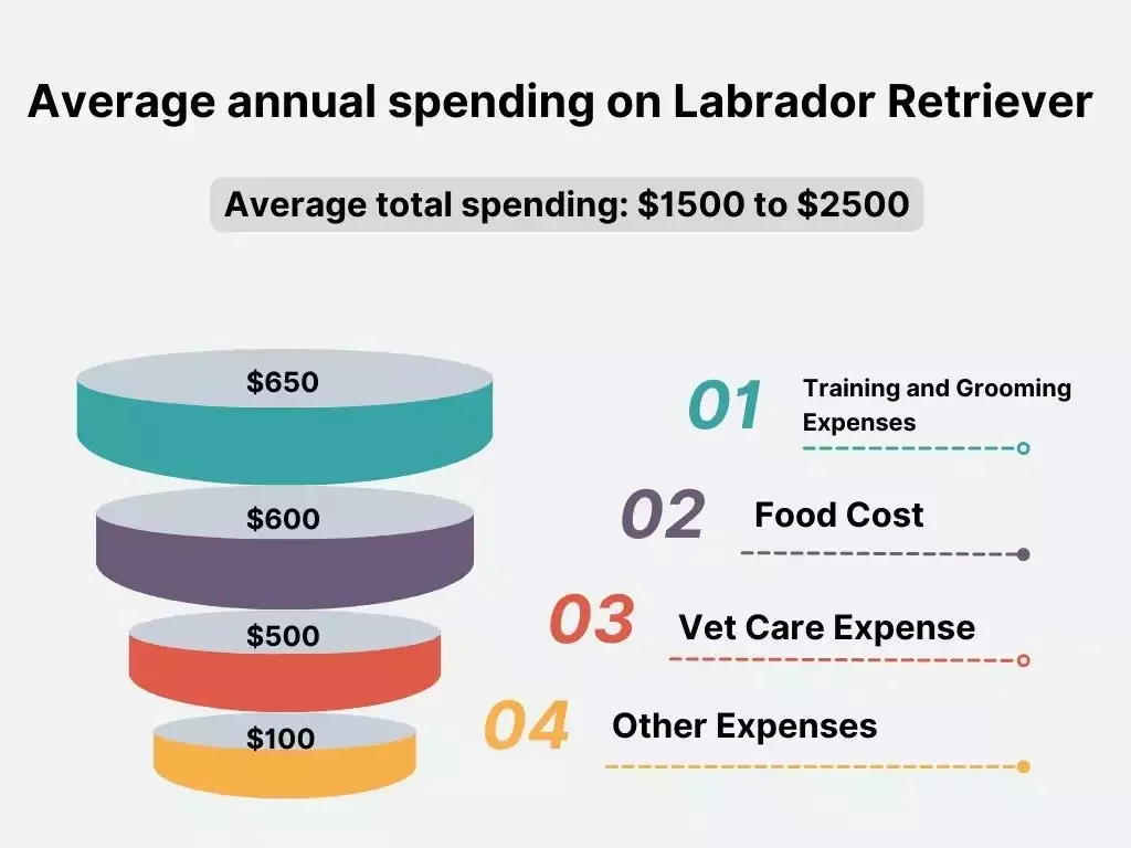 Labrador retrievers spending, Labrador Retrievers spending in america, Labrador Retrievers spending in different sectors, Labrador Retrievers food cost, Labrador Retrievers annual spending, 