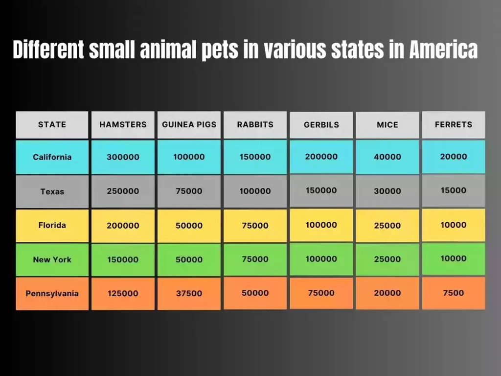 Different small animal pets in various states in America, small animal pets in america, bar chart small animal pets in america, america small animals pets bar chart