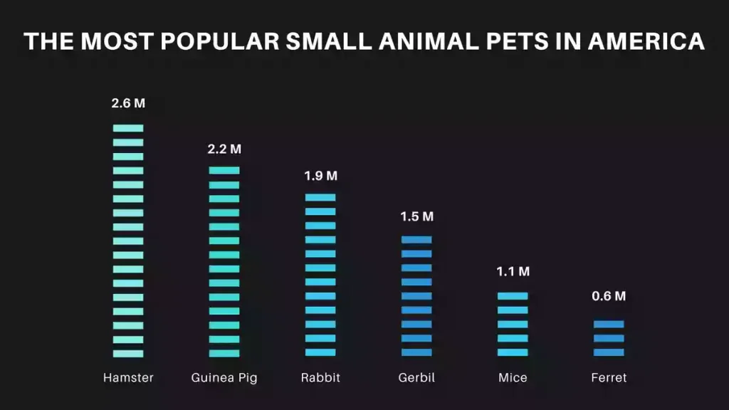 The most popular small animal pets in america, small pets animal in america, popular small animal pets in america, bar chart popular small animal pets in america
