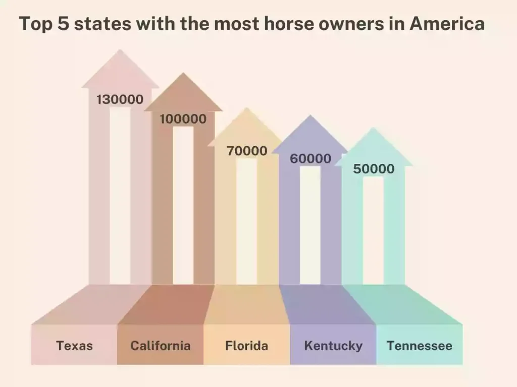 America’s Fav Pet Horse, Top 5 states with the most horse owners in America, the most horse owners in America, top 5 states horse owners in america, america horse owner bar chart, 