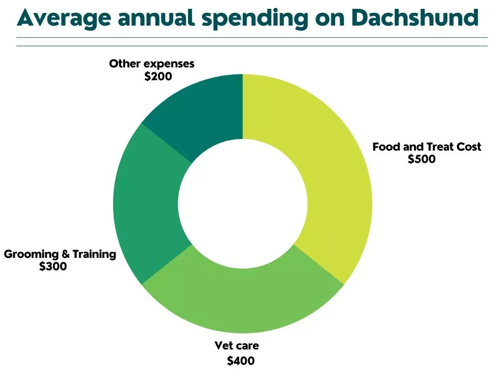 Average annual spending on Dachshund, Dachshund spending, Dachshund annual spending, Dachshund Food And Treat Cost, Dachshund Vet Cost, Dachshund training and grooming cost, Dachshund other cost