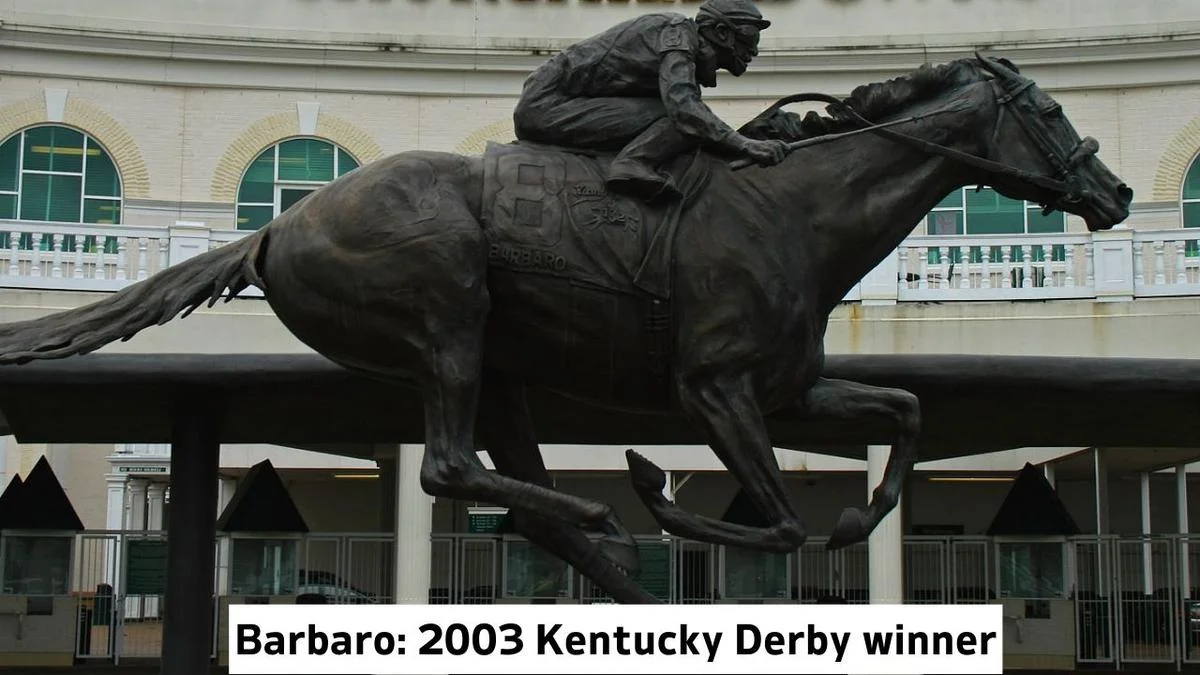 Famous Horses In History Barbaro 2003 Kentucky Derby Winner, Barbaro Horse, Barbaro Horse Details, Barbaro Horse Information, Barbaro Horse Photo, 2003 Kentucky Derby Winner Horse