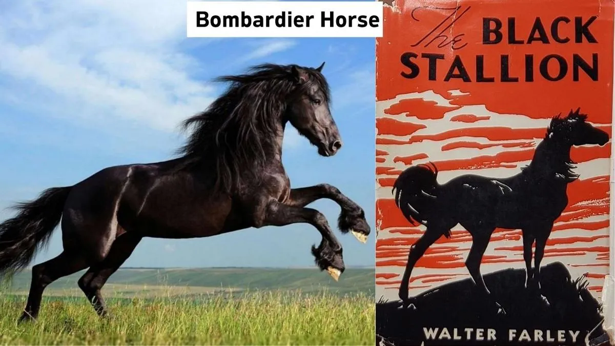 Bombardier Horse, Bombardier Horse History, Why Bombardier Horse So Popular, Bombardier Horse Meta Description
