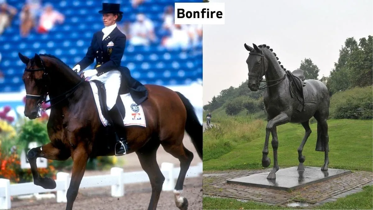 Famous Horses In History Bonfire Horse, Bonfire Horse Photo, Bonfire Horse Description, Bonfire Horse Why Famous
