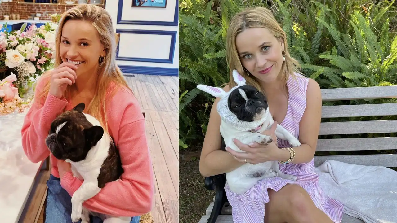 Reese Witherspoon's French Bulldog Pepper, Reese Witherspoon bulldog, Reese Witherspoon bulldog details, Reese Witherspoon dog name, Reese Witherspoon dog photo